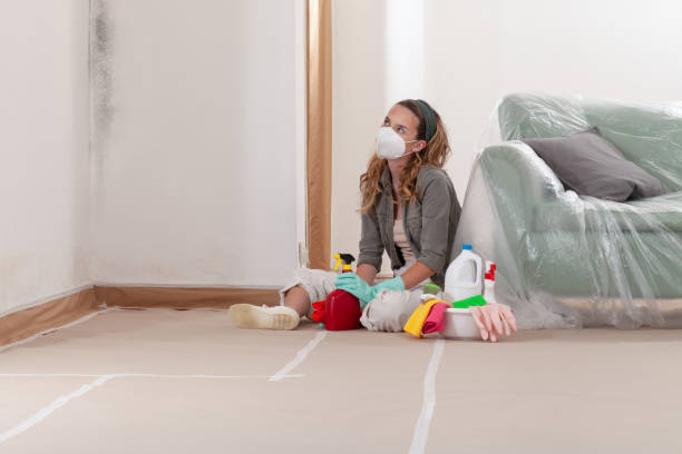 Reliable Mold Removal contractor in Warrenville, IL by Mold Remediation HQ